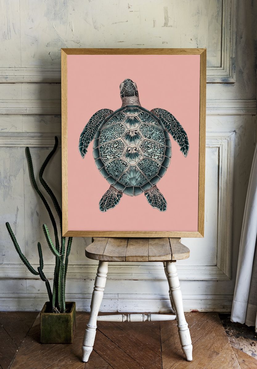 Sea Turtle Illustration Poster. — room view 1