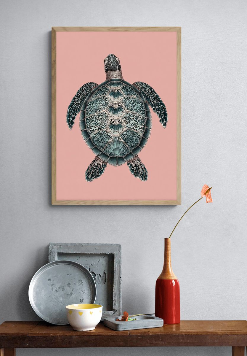 Sea Turtle Illustration Poster. — room view 3