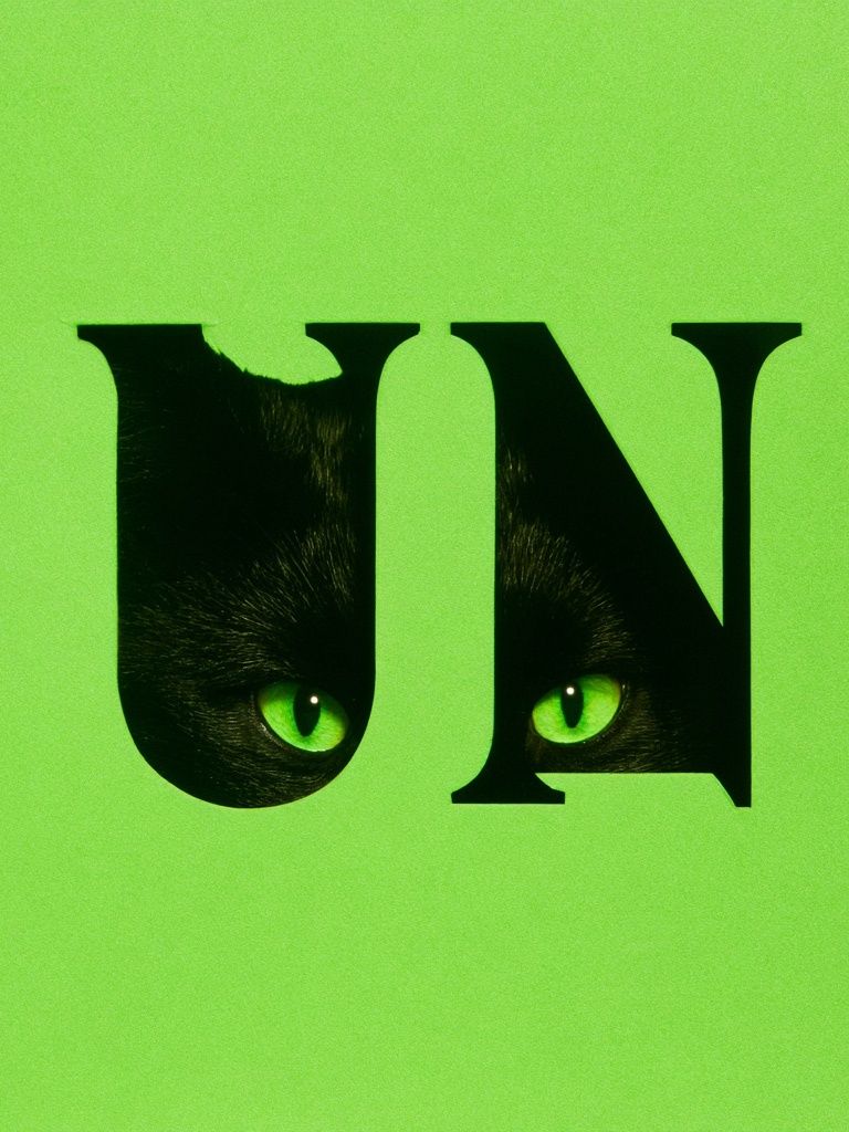 Black Cat Eyes Typography Poster. poster detail