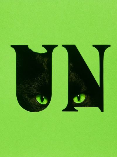 Black Cat Eyes Typography Poster.