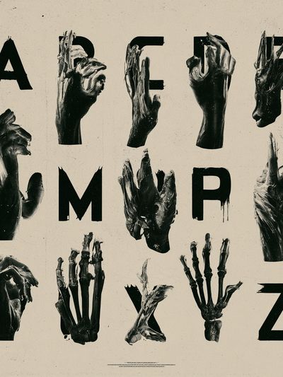 Anatomy Alphabet Typography Poster.