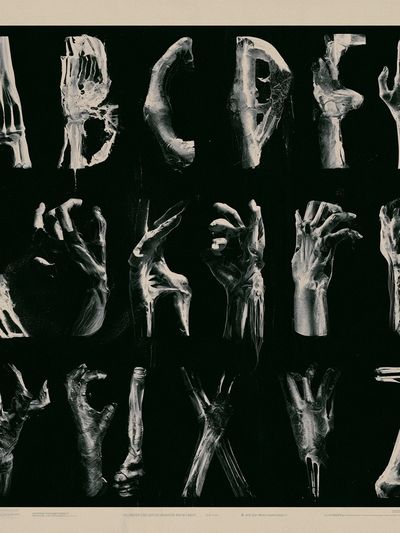 Anatomical Alphabet Typography Print. poster print