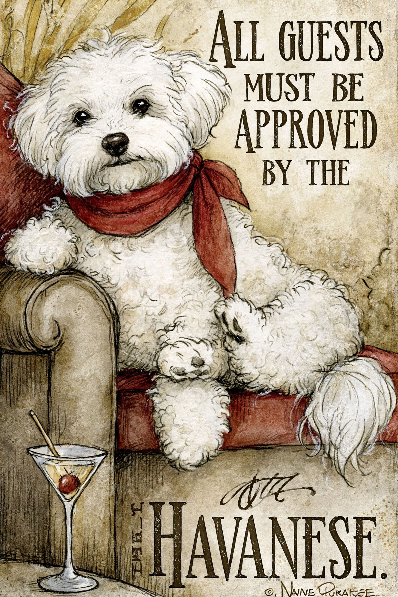 Havanese Dog Quote Typography Poster. poster detail