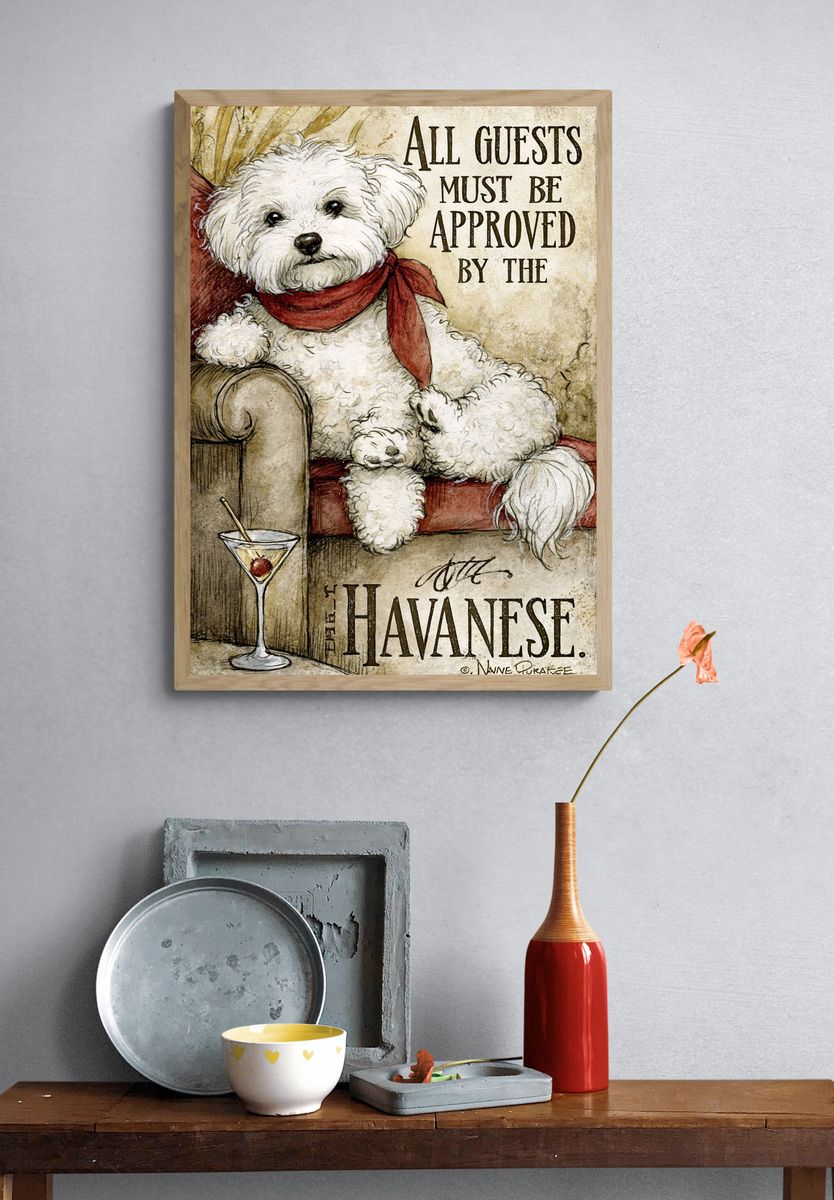 Havanese Dog Quote Typography Poster. — room view 3