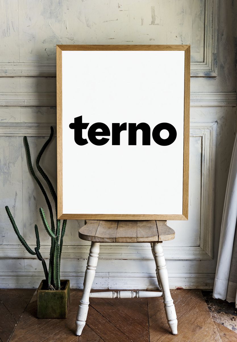 Terno Typography Poster. room preview