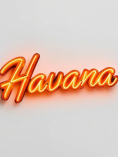 Havana Neon Typography Poster.