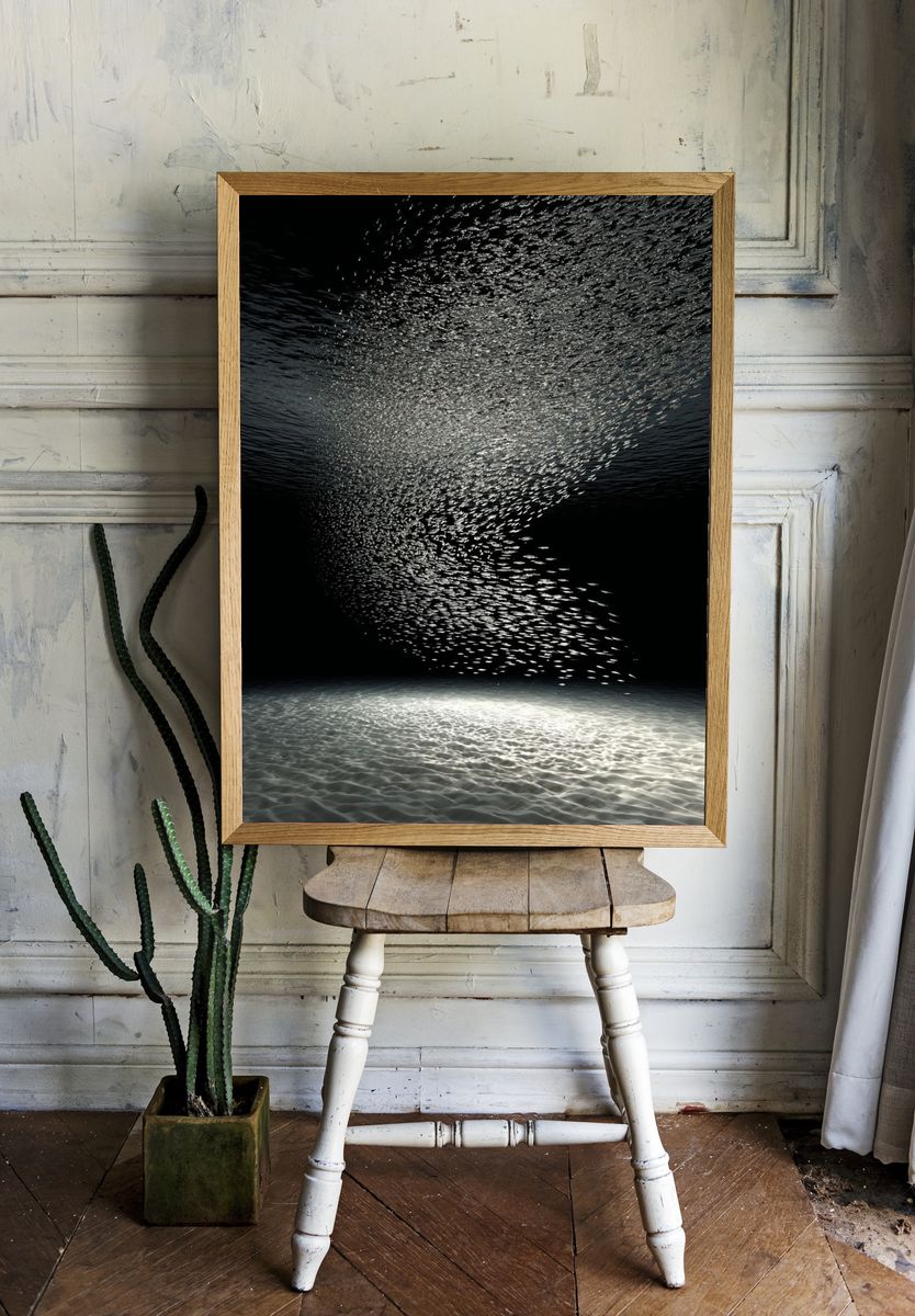 Underwater School of Fish — Photography Print. — room view 1