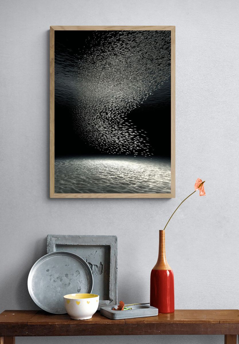 Underwater School of Fish — Photography Print. — room view 3