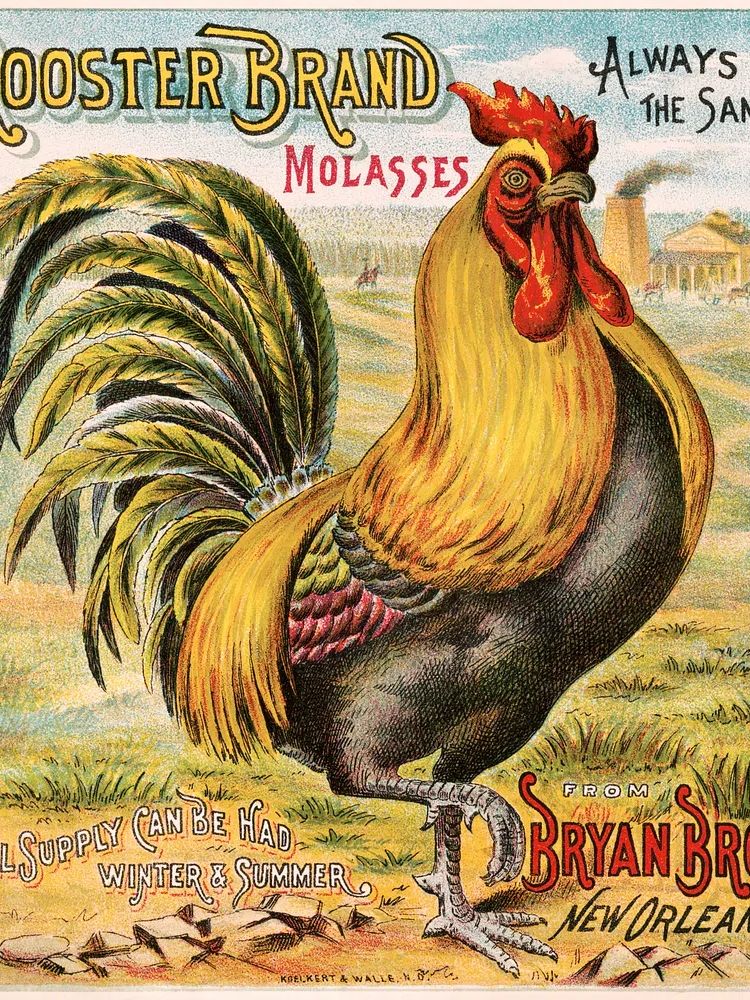 Rooster brand molasses, Bryan Bro's. poster detail