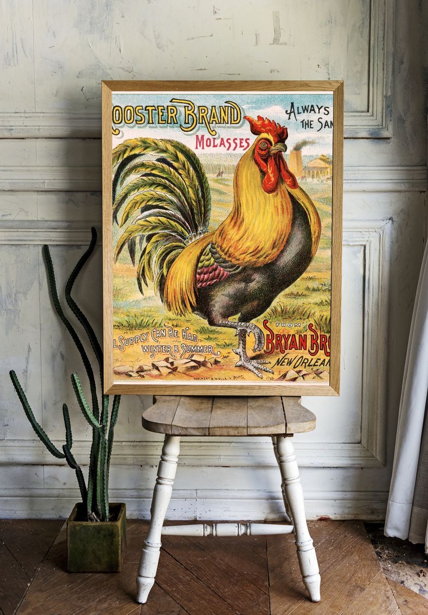 Rooster brand molasses, Bryan Bro's. room preview