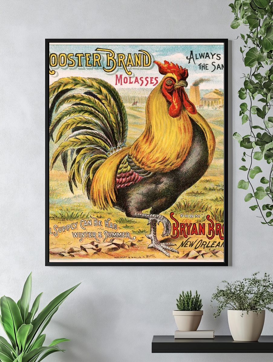Rooster brand molasses, Bryan Bro's. — room view 4