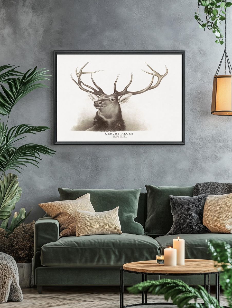 Cervus Alces Vintage Print. — room view 4