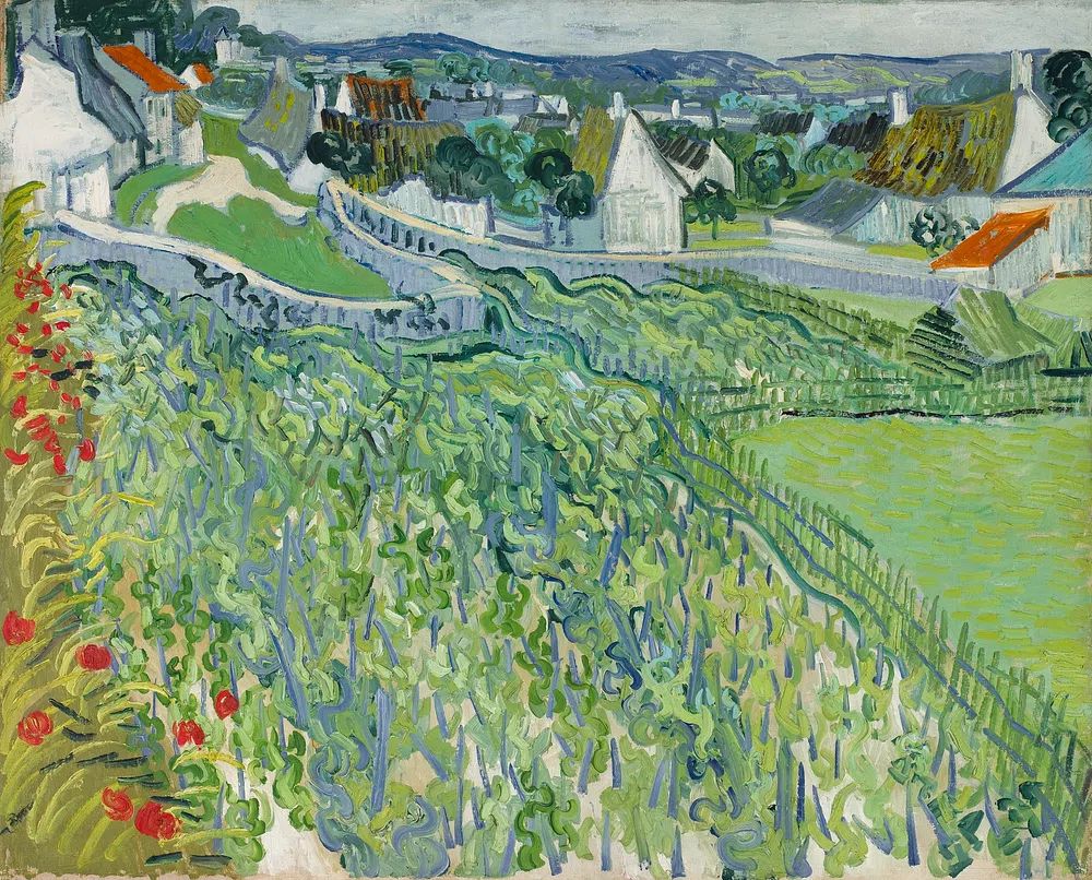 Vincent van Gogh 's Vineyards. poster detail