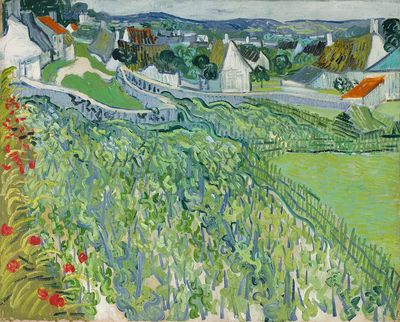 Vincent van Gogh 's Vineyards.