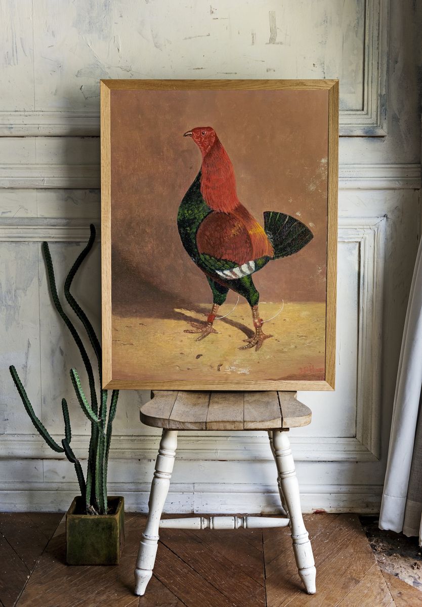 Colorful Rooster — Vintage Print room preview