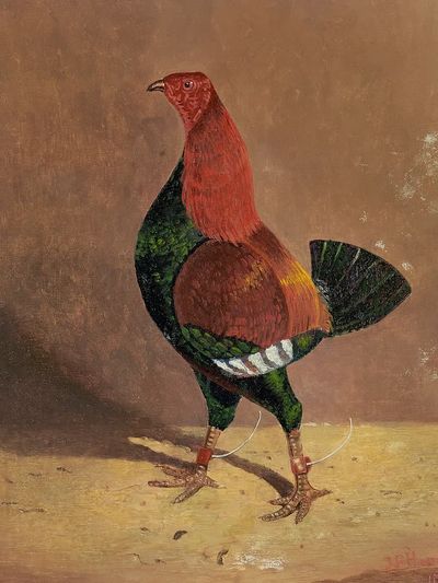 Colorful Rooster — Vintage Print