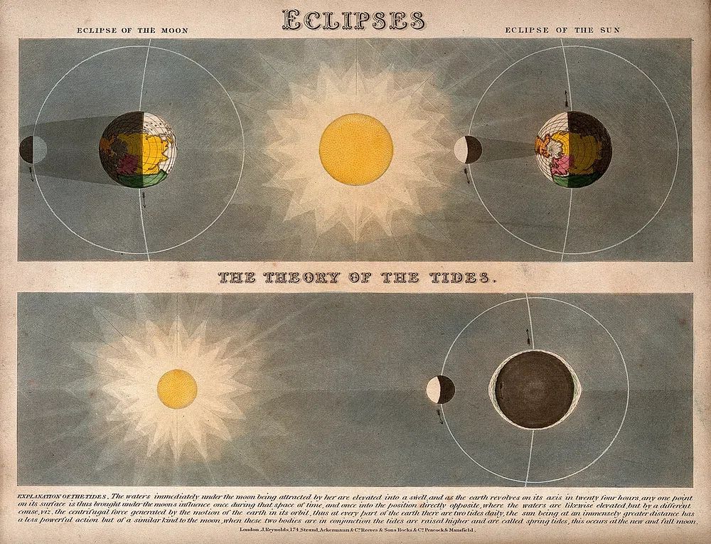 Eclipses Vintage Astronomy Poster. poster detail