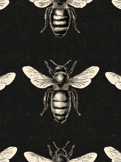 Vintage Bee Pattern Poster.