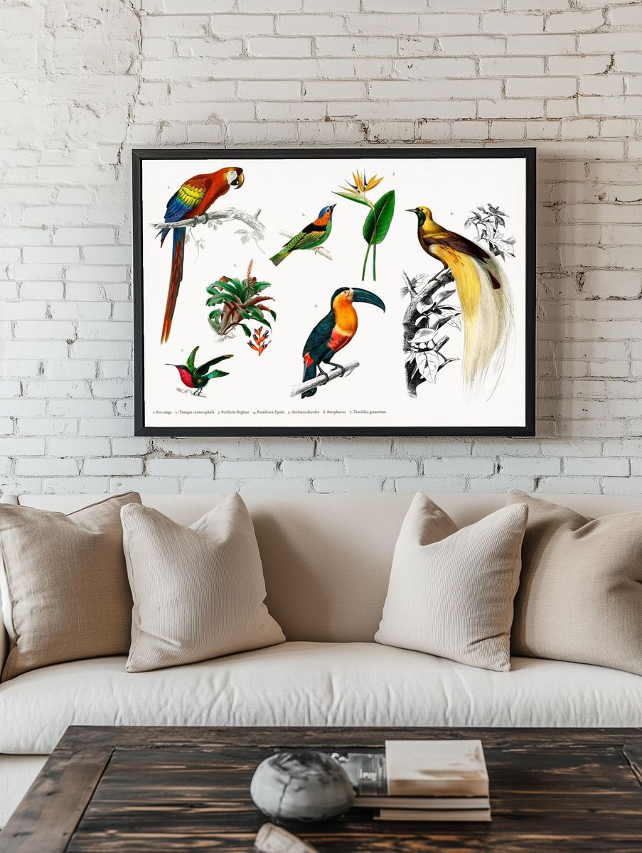 Tropical Birds and Flora — Vintage Print room preview