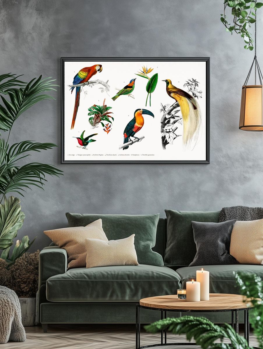 Tropical Birds and Flora — Vintage Print. — room view 4