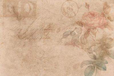 Vintage Rose Botanical Poster. poster