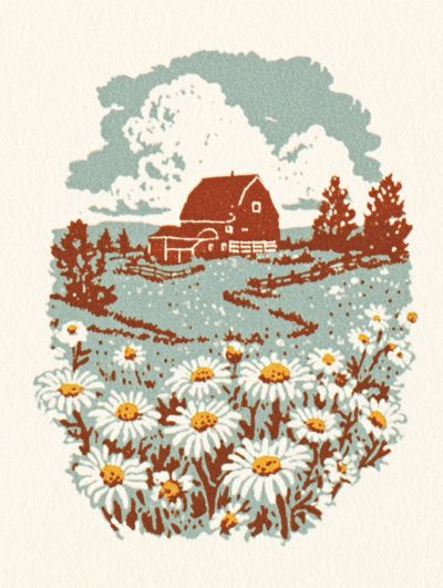 Daisy Field with Barn — Vintage Print.