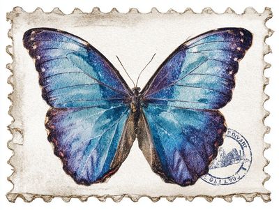 Blue Butterfly Vintage Print.