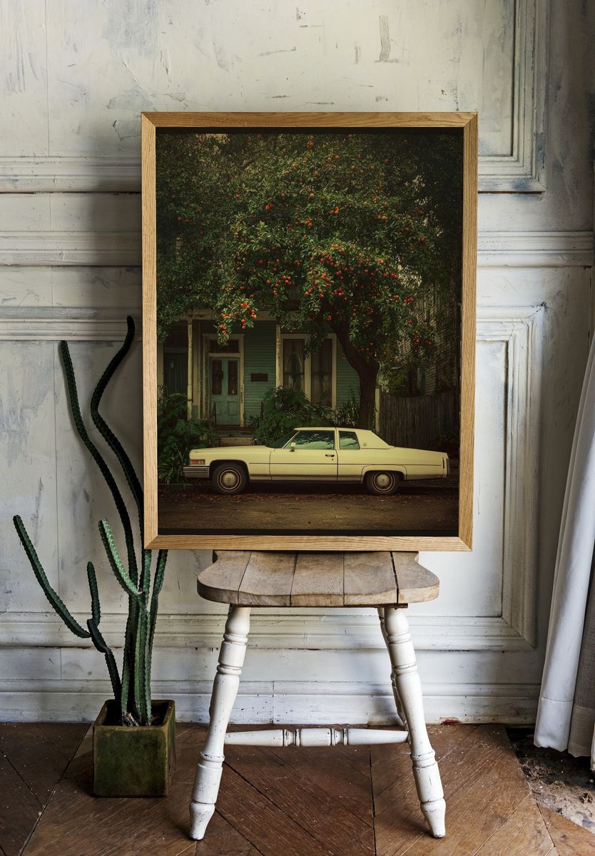 Classic Car Under Orange Tree — Vintage Print. room preview