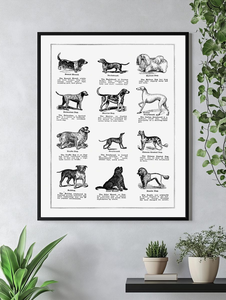 Dog breeds poster. — room view 4