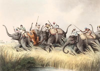 Elephant Hunt Vintage Illustration Poster