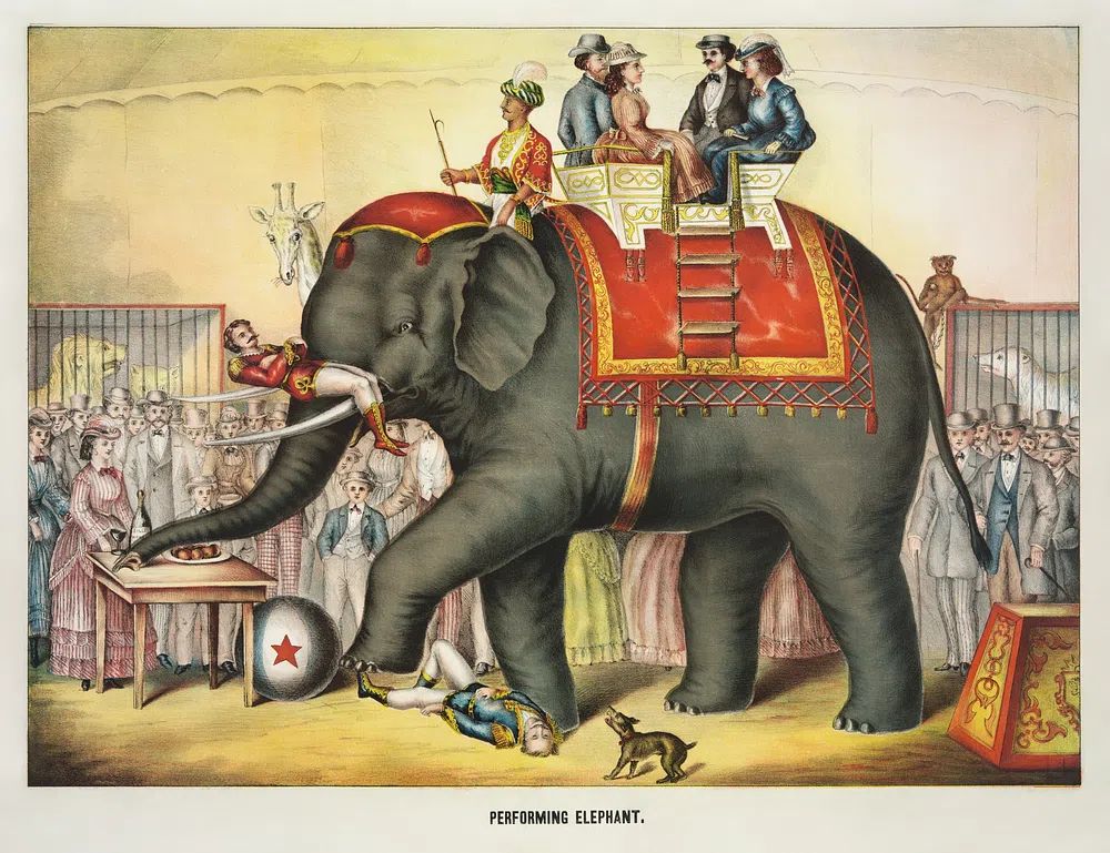 Performing Elephant — Vintage Print. poster detail