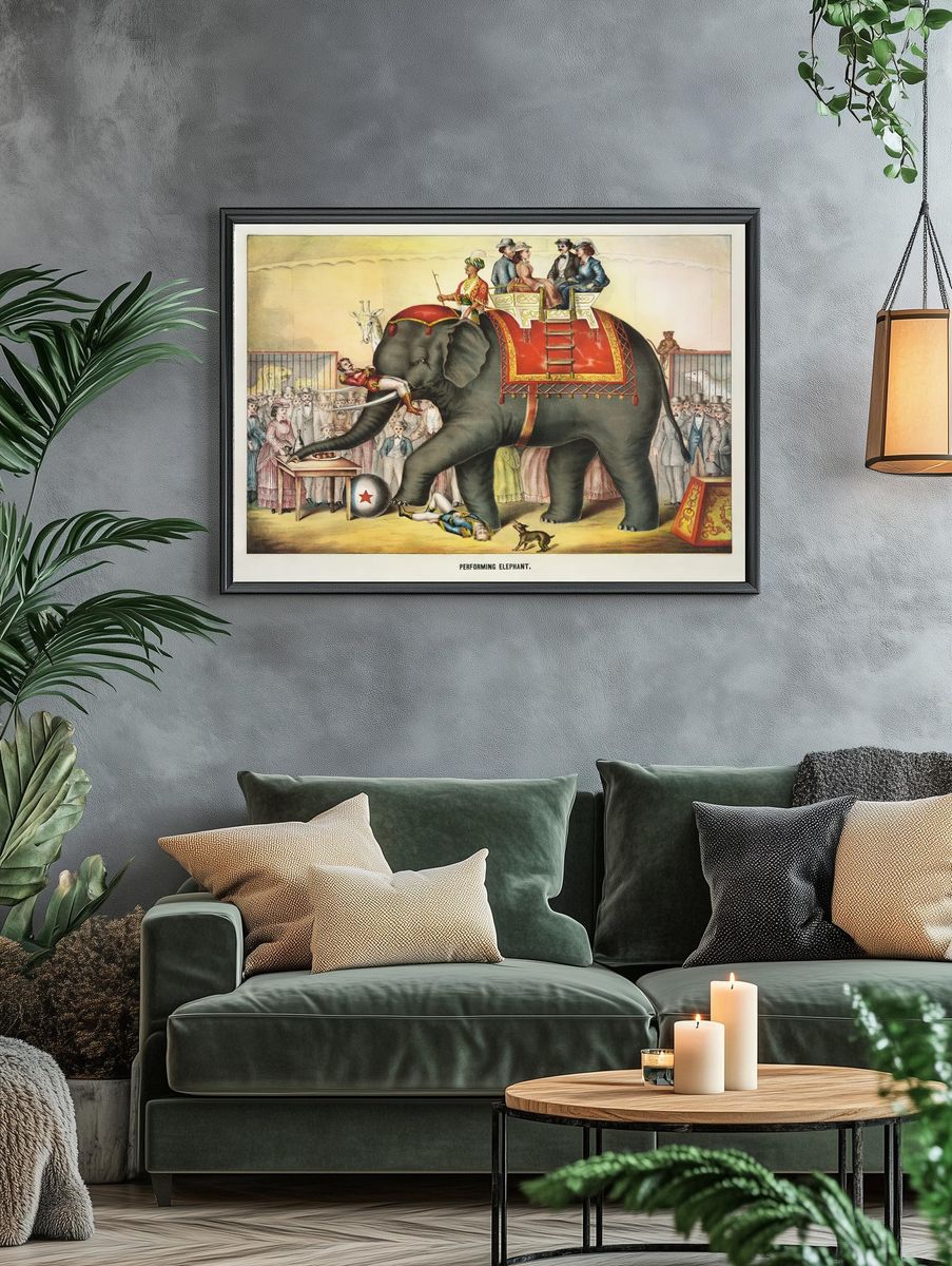 Performing Elephant — Vintage Print. — room view 4