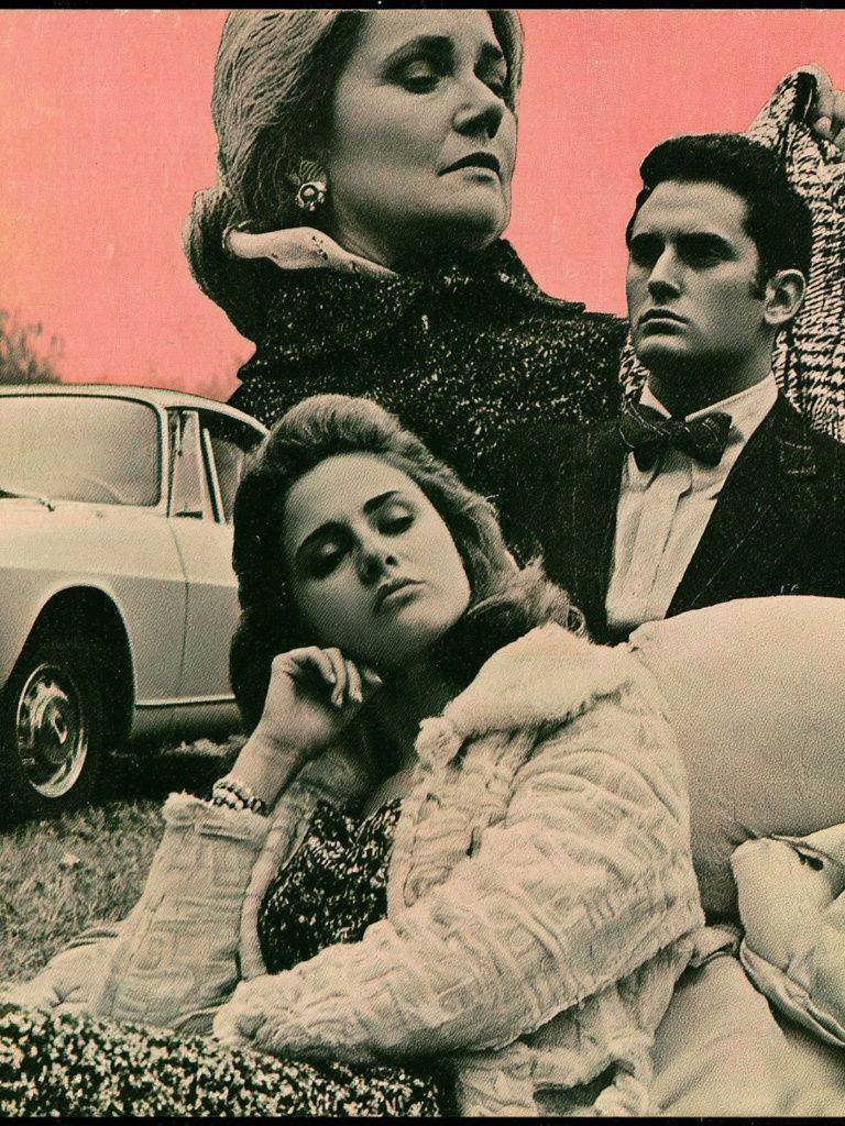 Retro Fashion Portrait Poster. poster detail