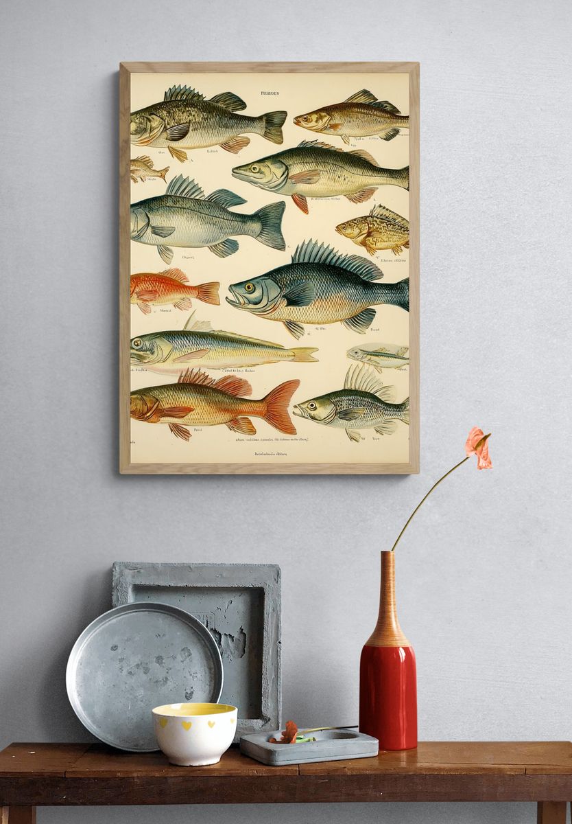 Vintage Fish Illustration Poster. — room view 3