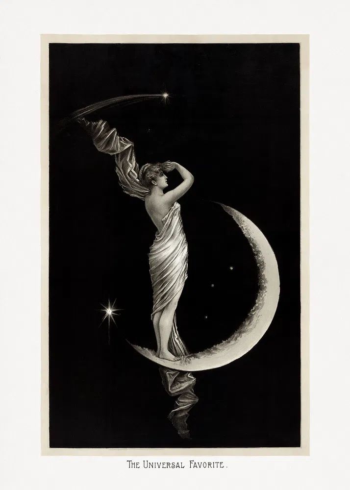 The Universal Favorite — Vintage Print. poster — vintage art