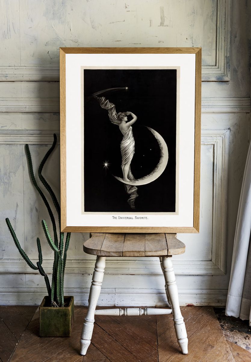 The Universal Favorite — Vintage Print room preview