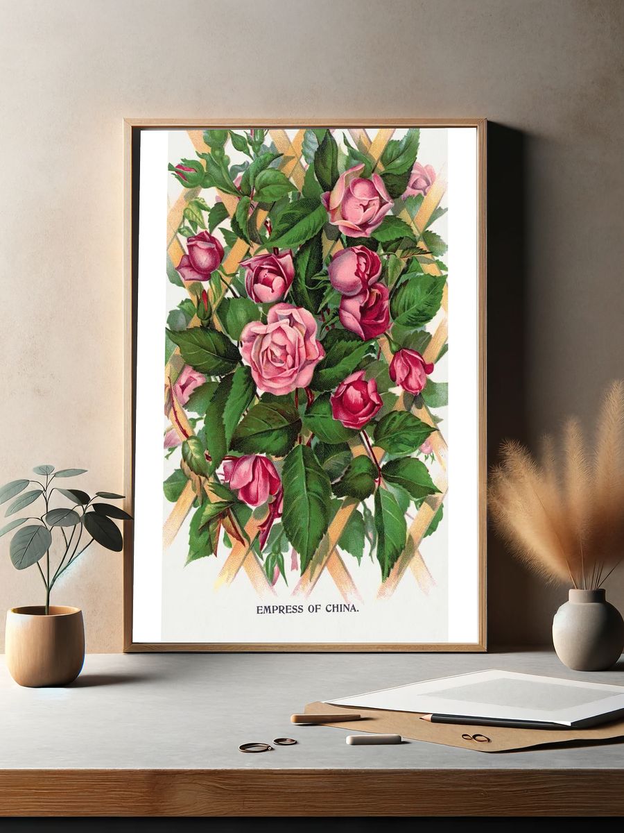 Empress of China Roses — Vintage Print. — room view 2