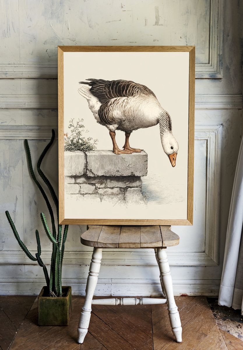 Curious Goose — Vintage Print room preview