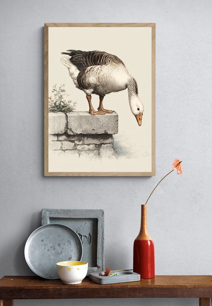 Curious Goose — Vintage Print. — room view 3