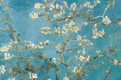 Almond Blossom — Fine Art Print. poster
