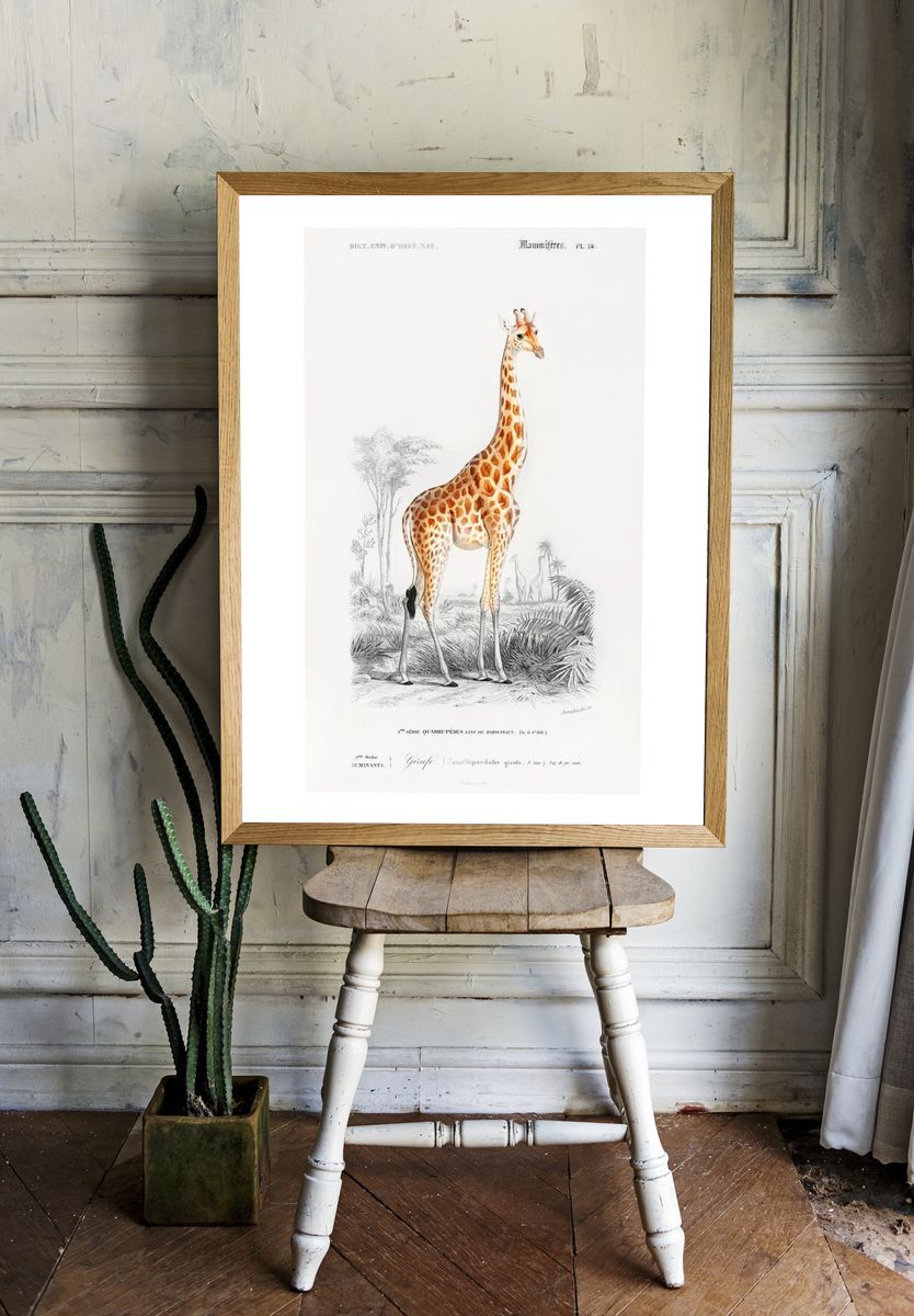 Vintage Giraffe Botanical Print room preview