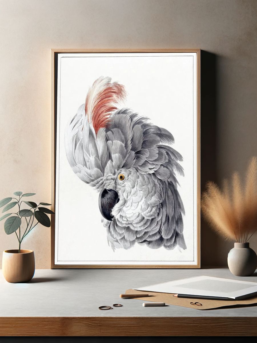 Elegant Grey Parrot — Vintage Print. — room view 2