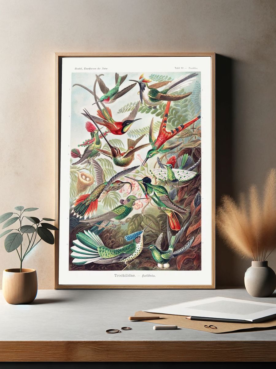 Colorful Hummingbirds — Vintage Print. — room view 2