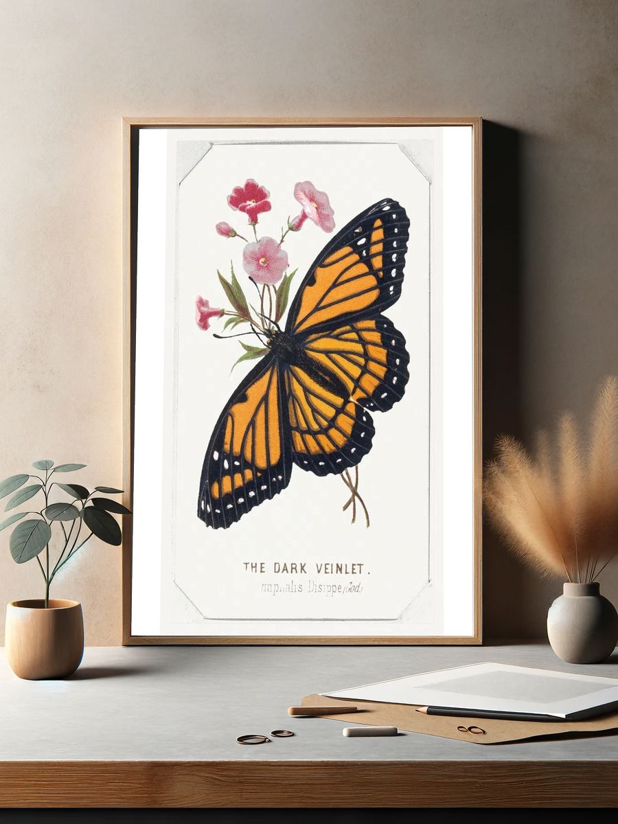 Dark Veinlet Butterflies Moths America. — room view 2