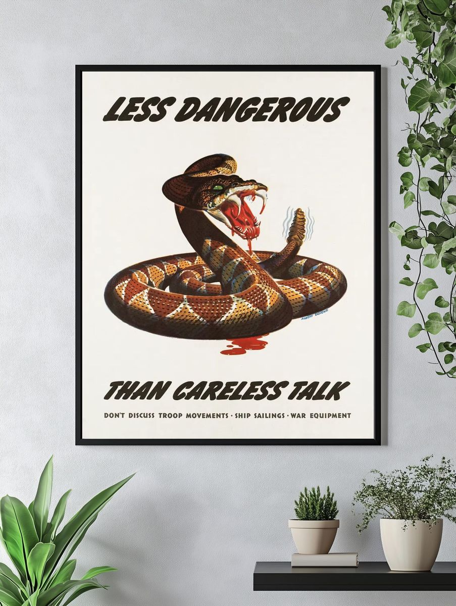 Less dangerous careless talk. Don't. — room view 4