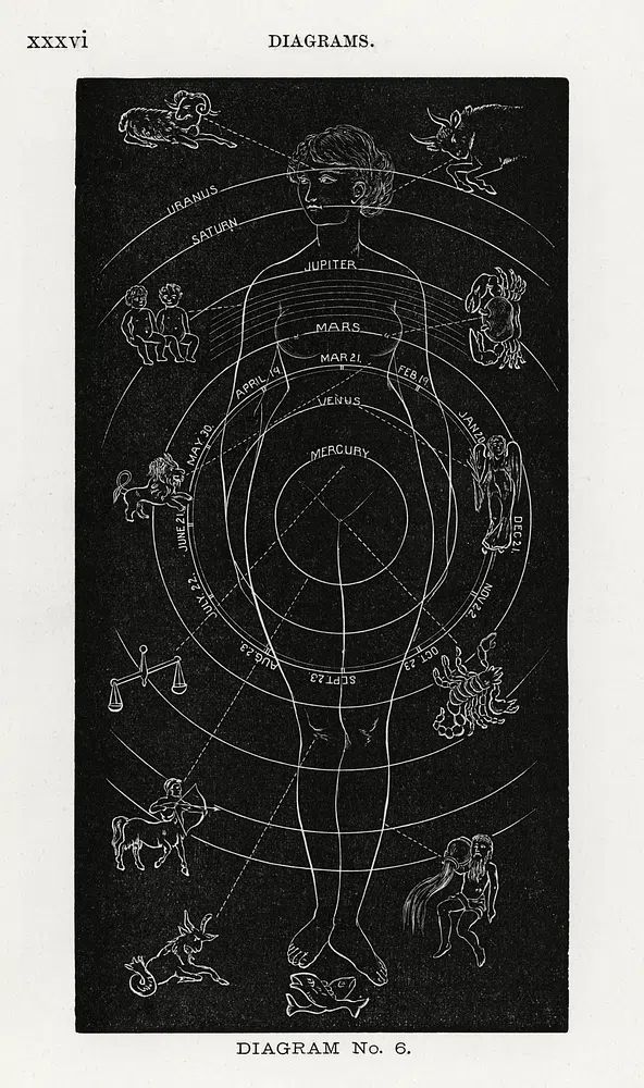Diagram no.6 print high resolution. poster detail