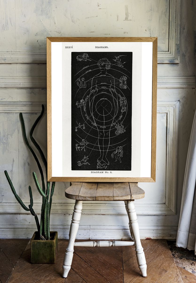 Diagram no.6 print high resolution. room preview