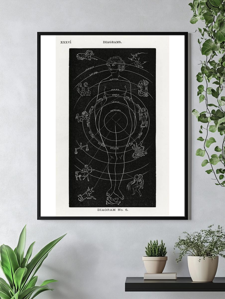 Diagram no.6 print high resolution. — room view 4