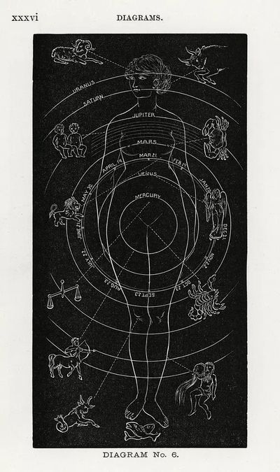 Diagram no.6 print high resolution. poster