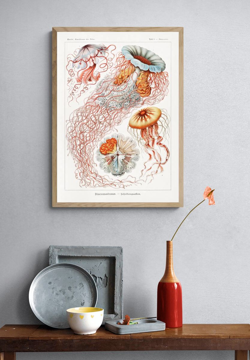 Vintage Jellyfish Study Poster. — room view 3